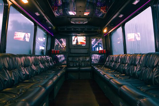 20 passenger party bus rental in Clearwater 